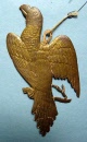dresdeneagleonbranch1